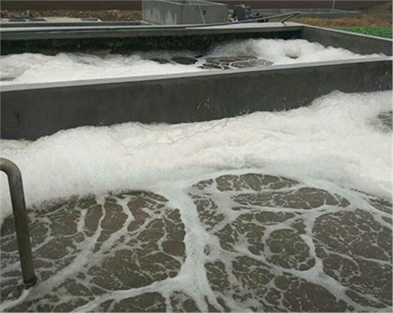 黑偉的污水處理鼓風(fēng)機(jī)質(zhì)量可靠壽命長！